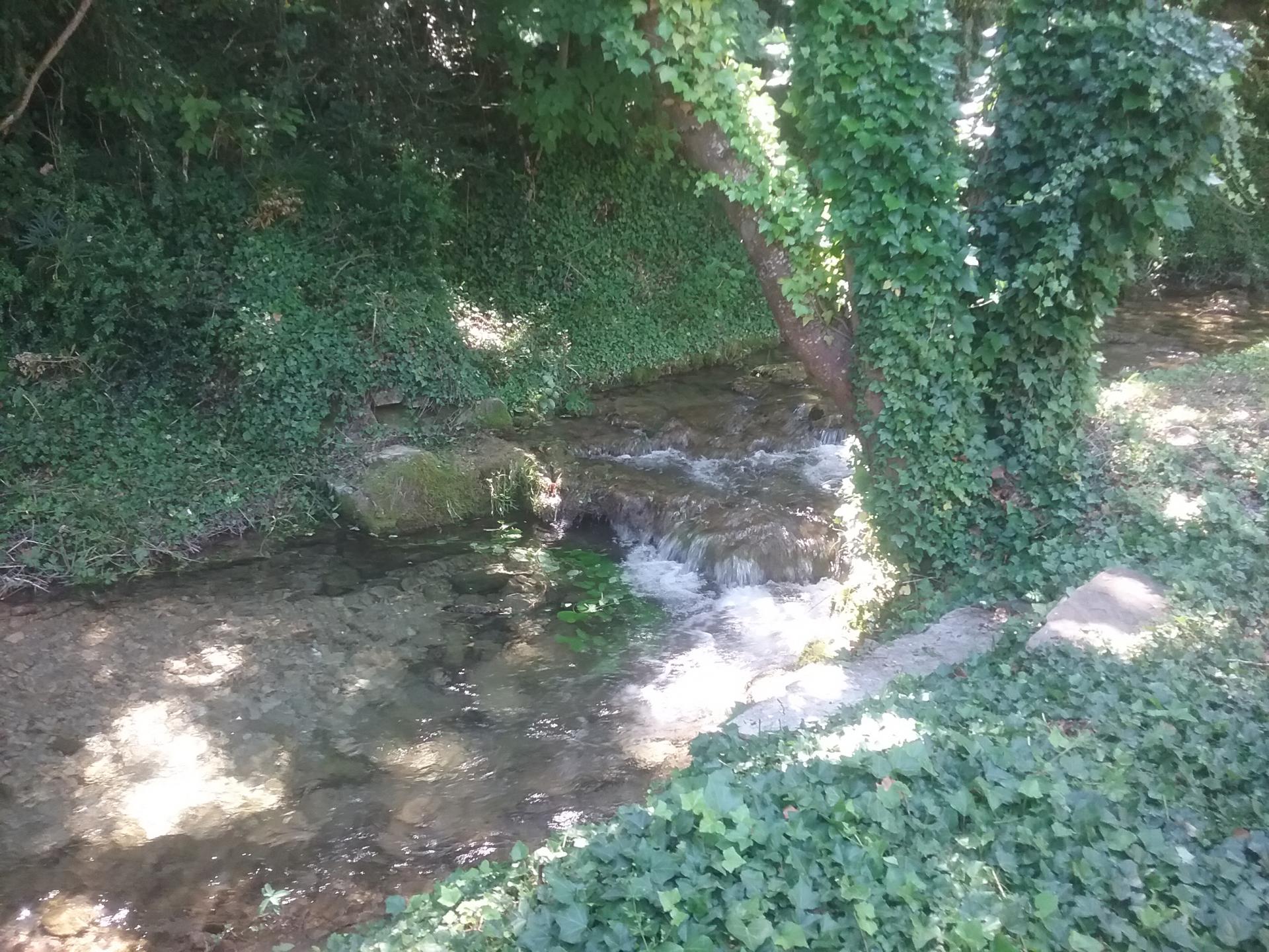 Barranco con pequeña cascada