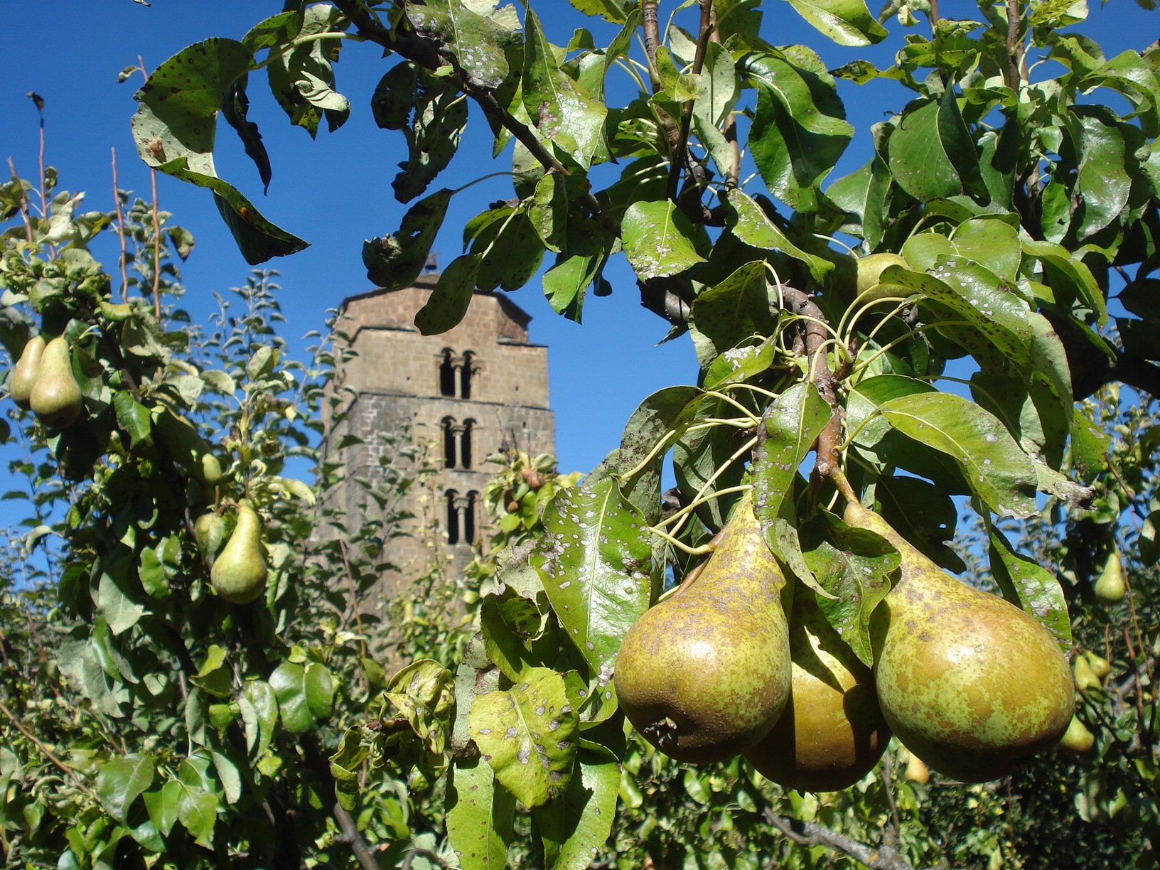 frutos de la tierra y el cariño