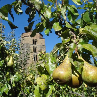 frutos de la tierra y el cariño