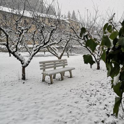 Jardín con nieve