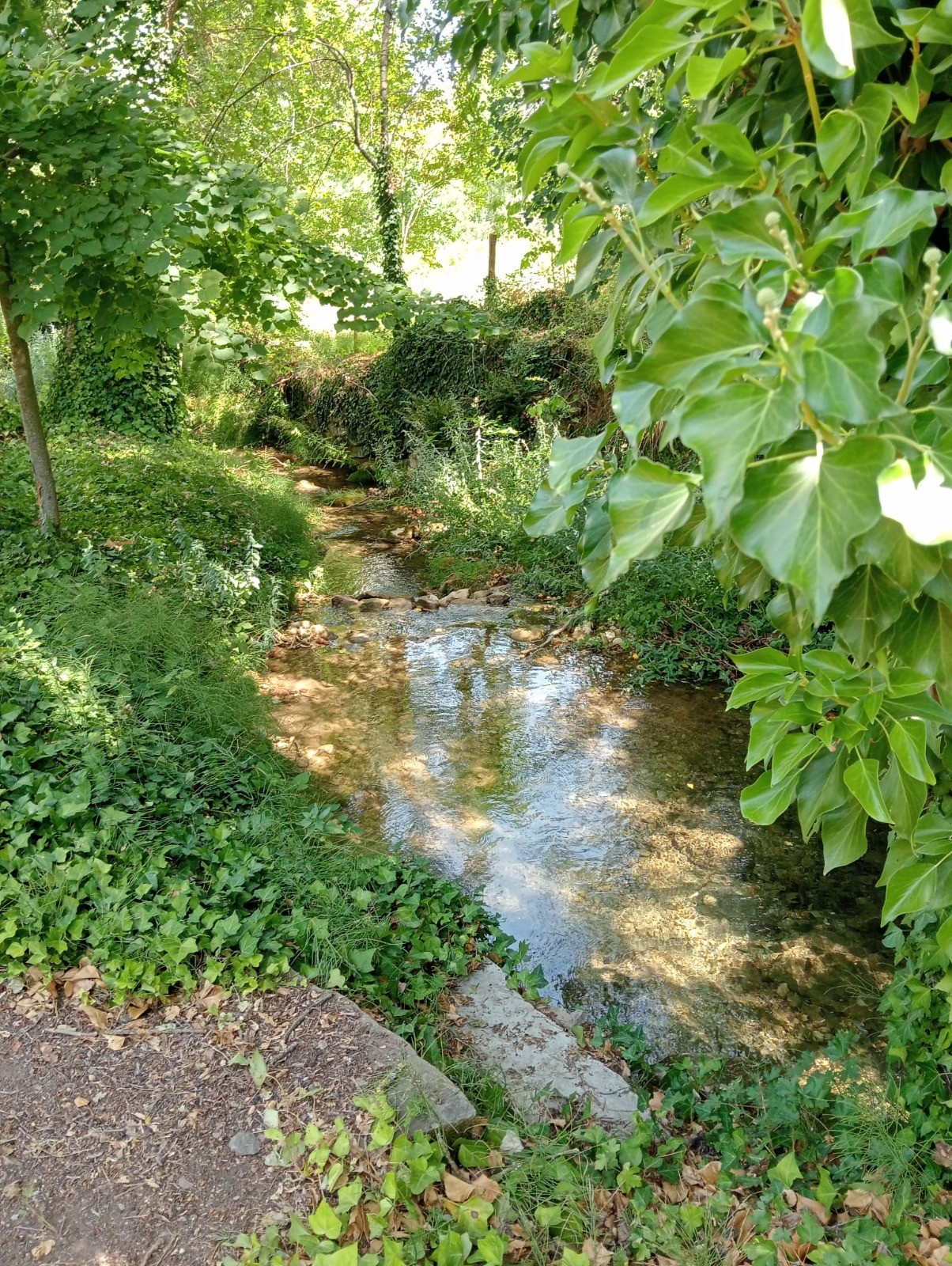 Barranco