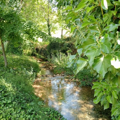 Barranco